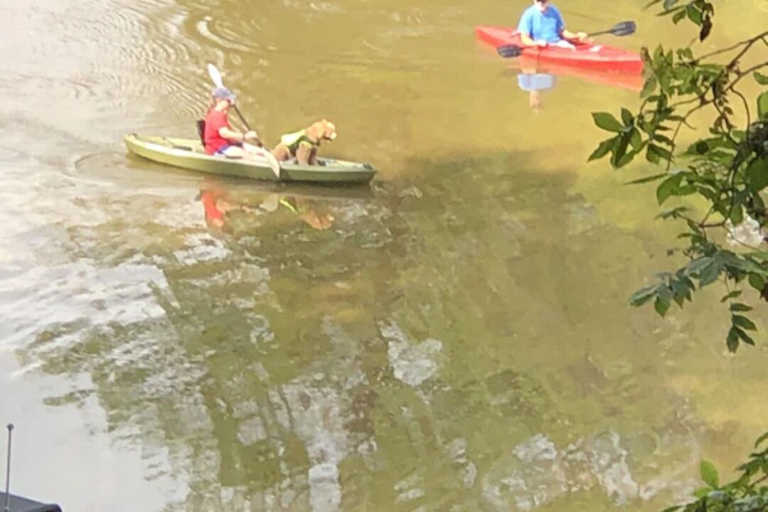 Photo of Others in Mill Spring