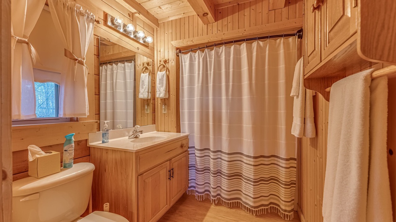 Photo of Bathroom in Mill Spring