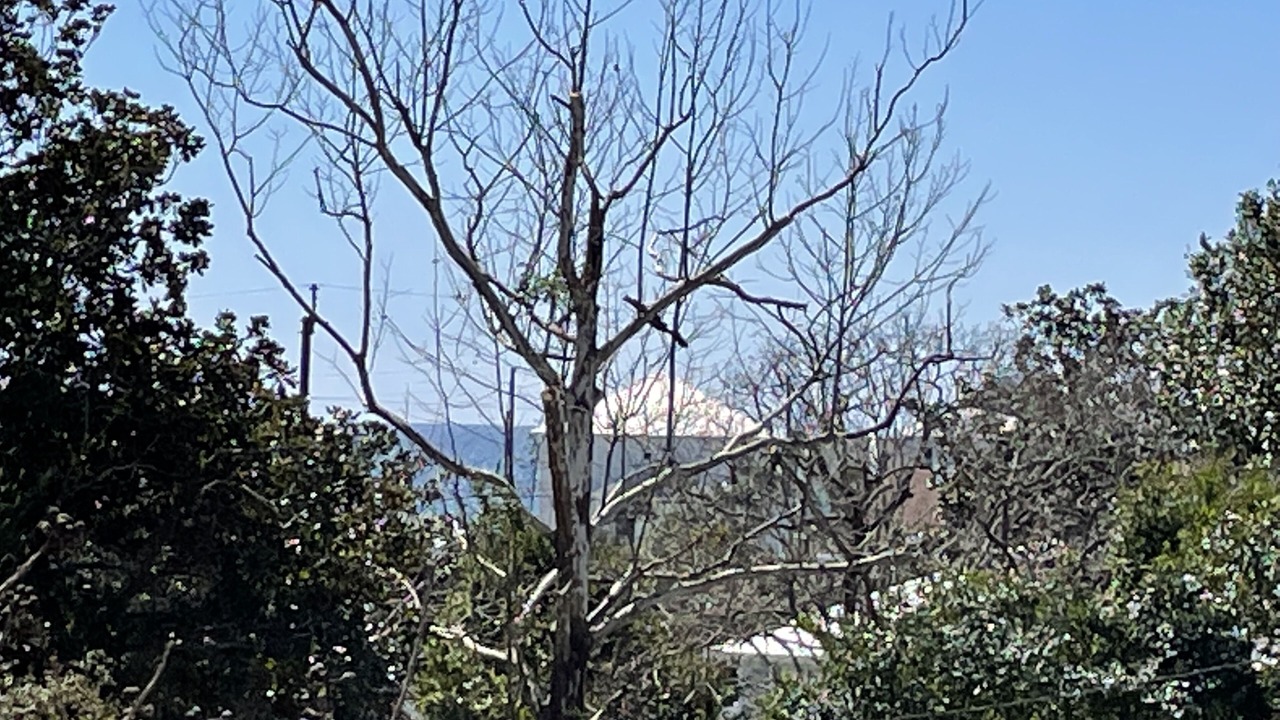 Photo of Others in Laguna Beach Estates
