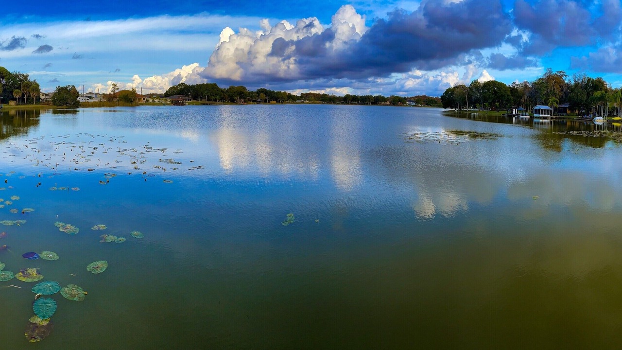 Photo of Outdoor in Westchase