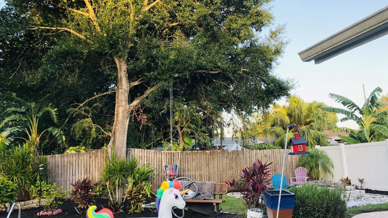 Photo of Outdoor in Oldsmar