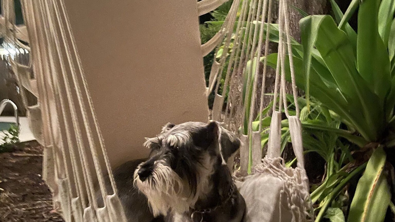 Photo of Outdoor in Oldsmar