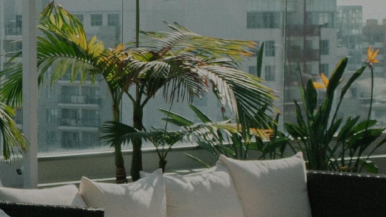 Photo of Outdoor in Near Northeast