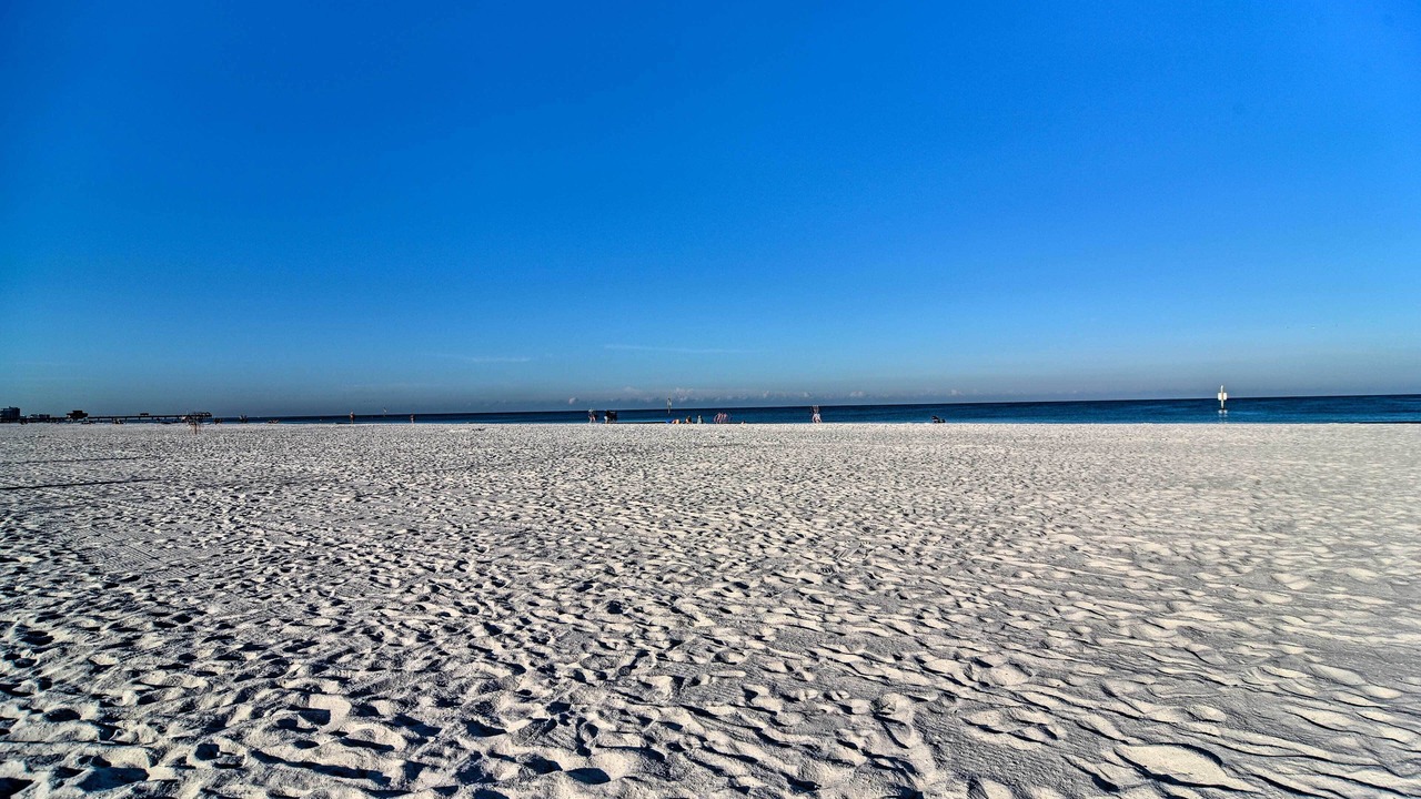 Photo of Others in Clearwater Beach