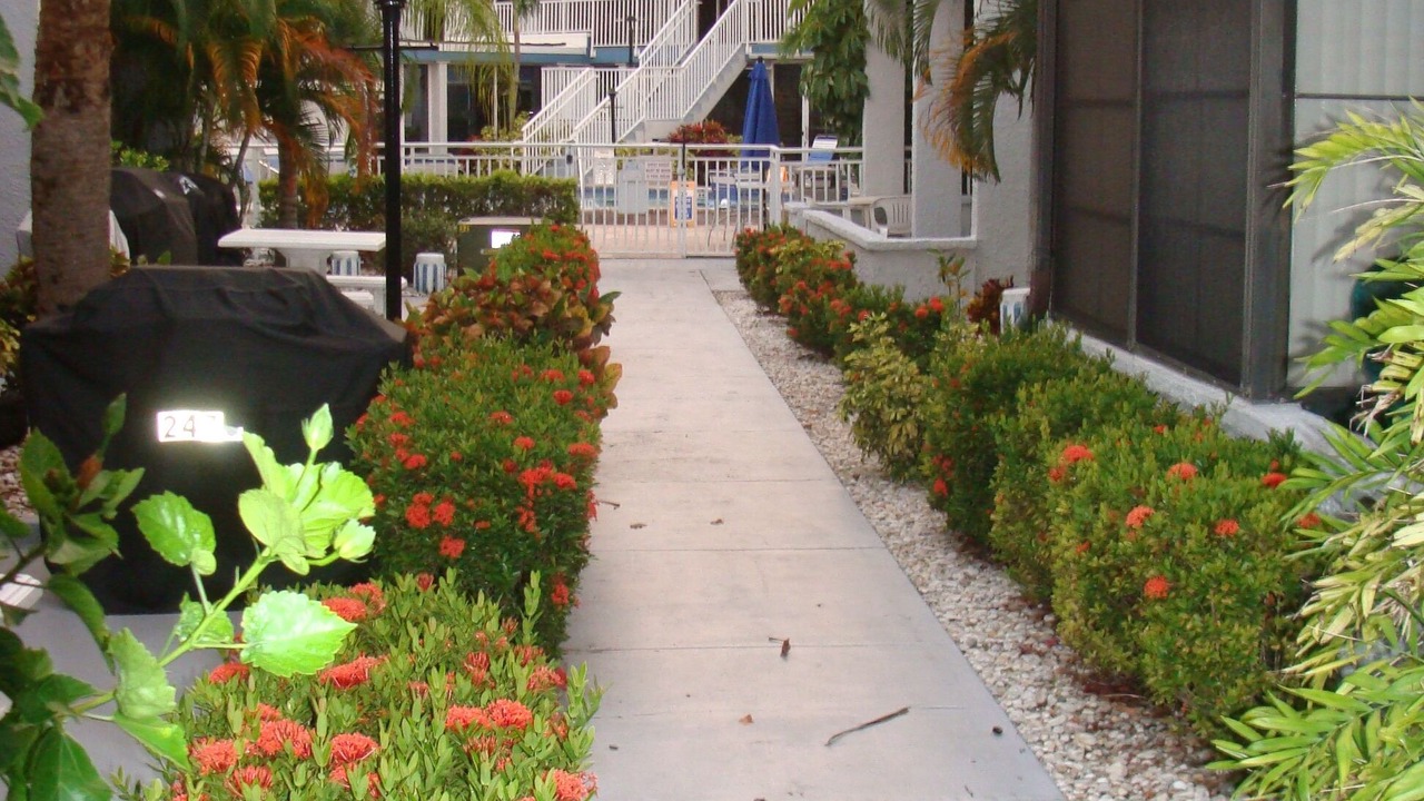 Photo of Patio Balcony in Madeira Beach