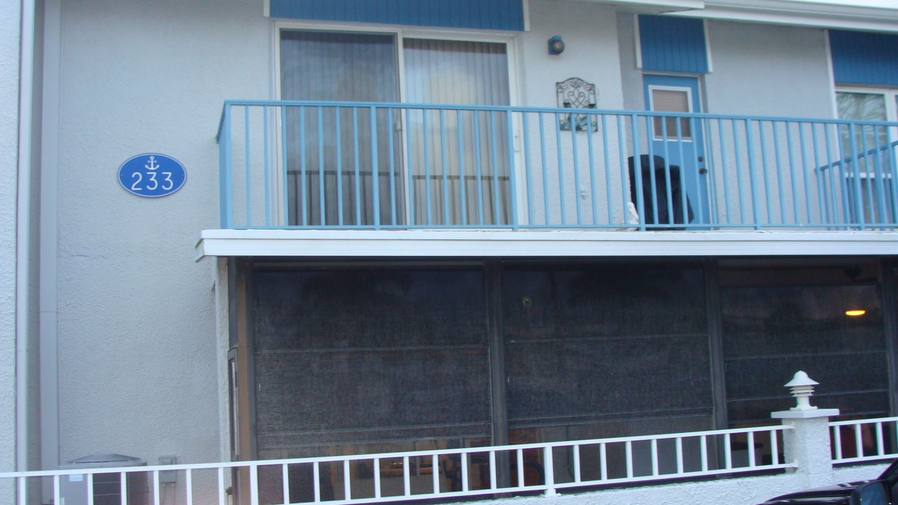 Photo of Outdoor in Madeira Beach