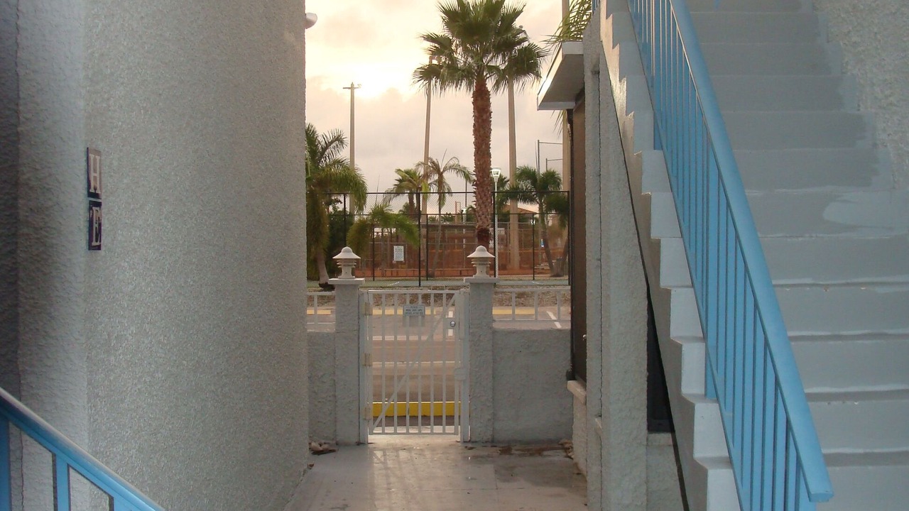 Photo of Outdoor in Madeira Beach