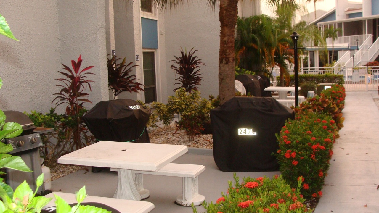 Photo of Outdoor in Madeira Beach