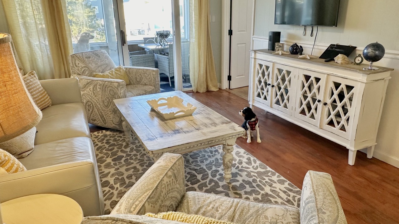 Photo of Livingroom in Dewey Beach