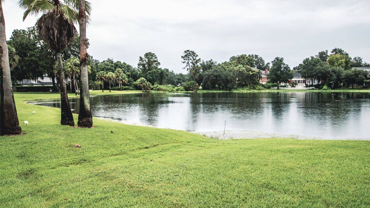 Photo of Others in Saddlebrook