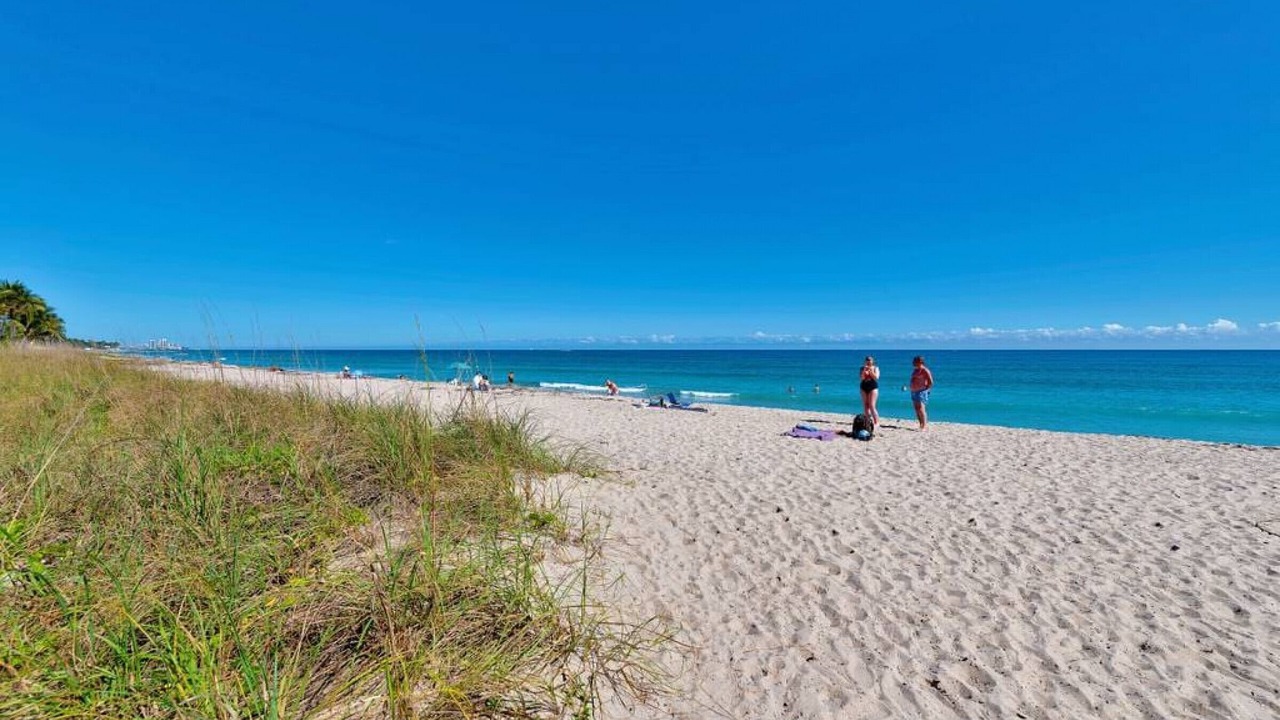 Photo of Others in Palm Beach