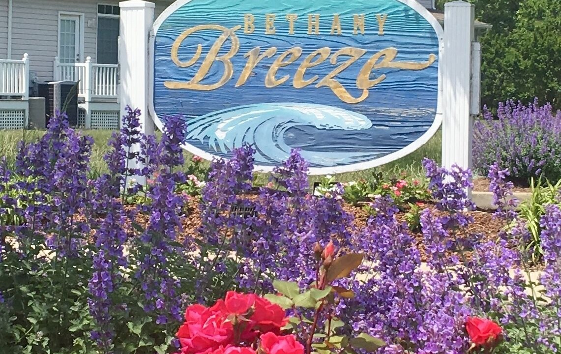 Photo of Outdoor in Bethany Breeze