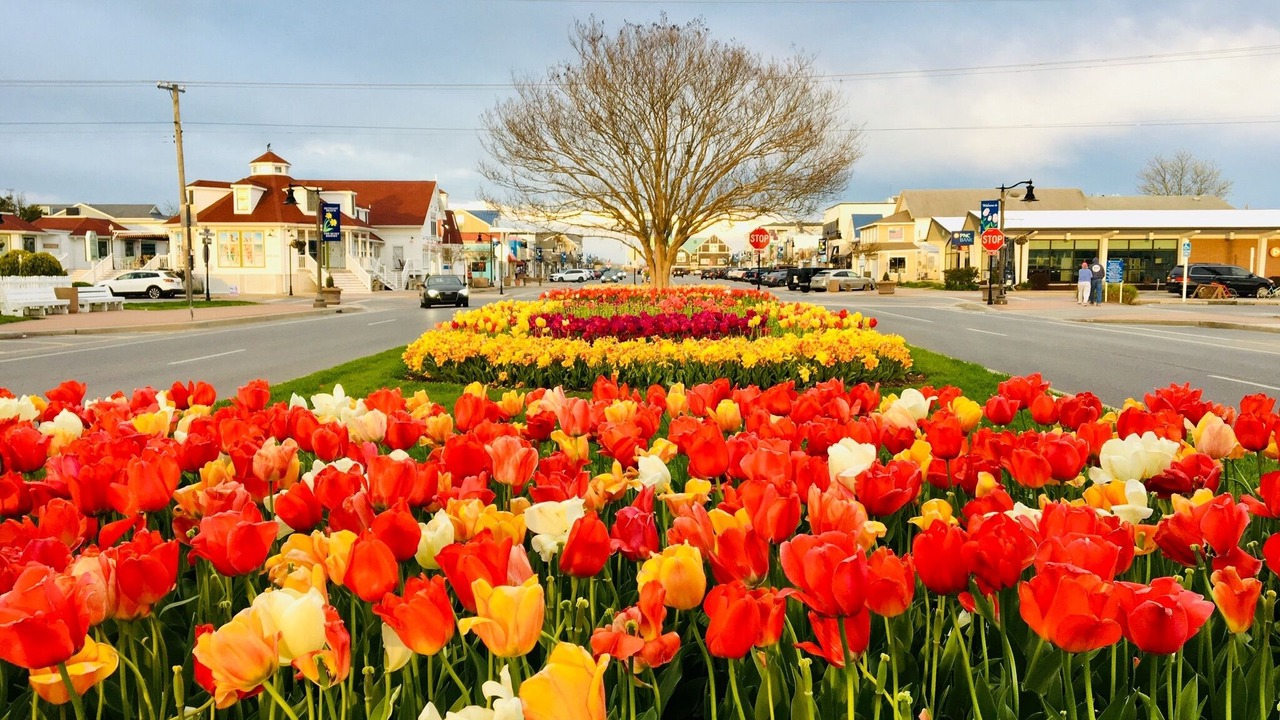 Photo of Outdoor in Bethany Breeze