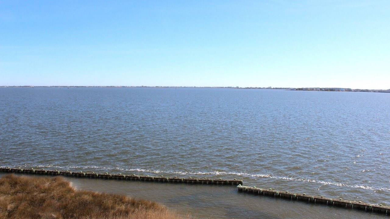 Photo of Others in Manteo