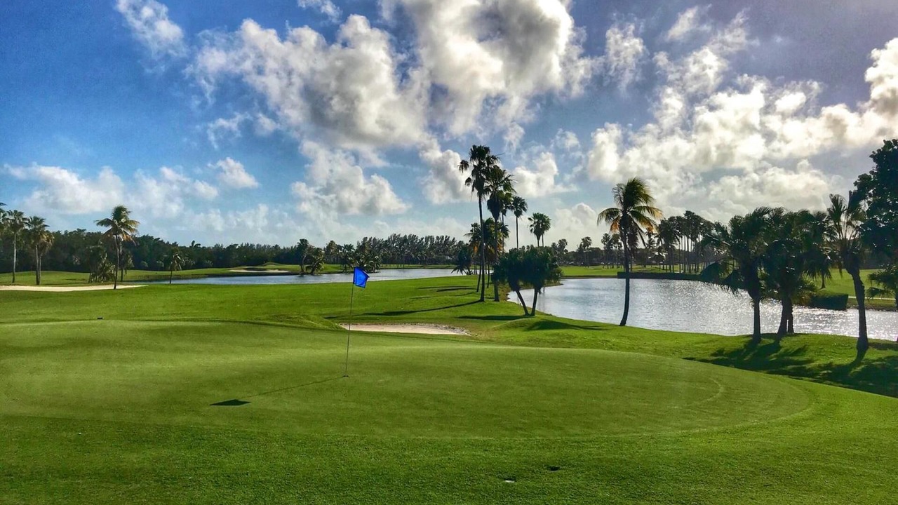 Photo of Others in Key Biscayne
