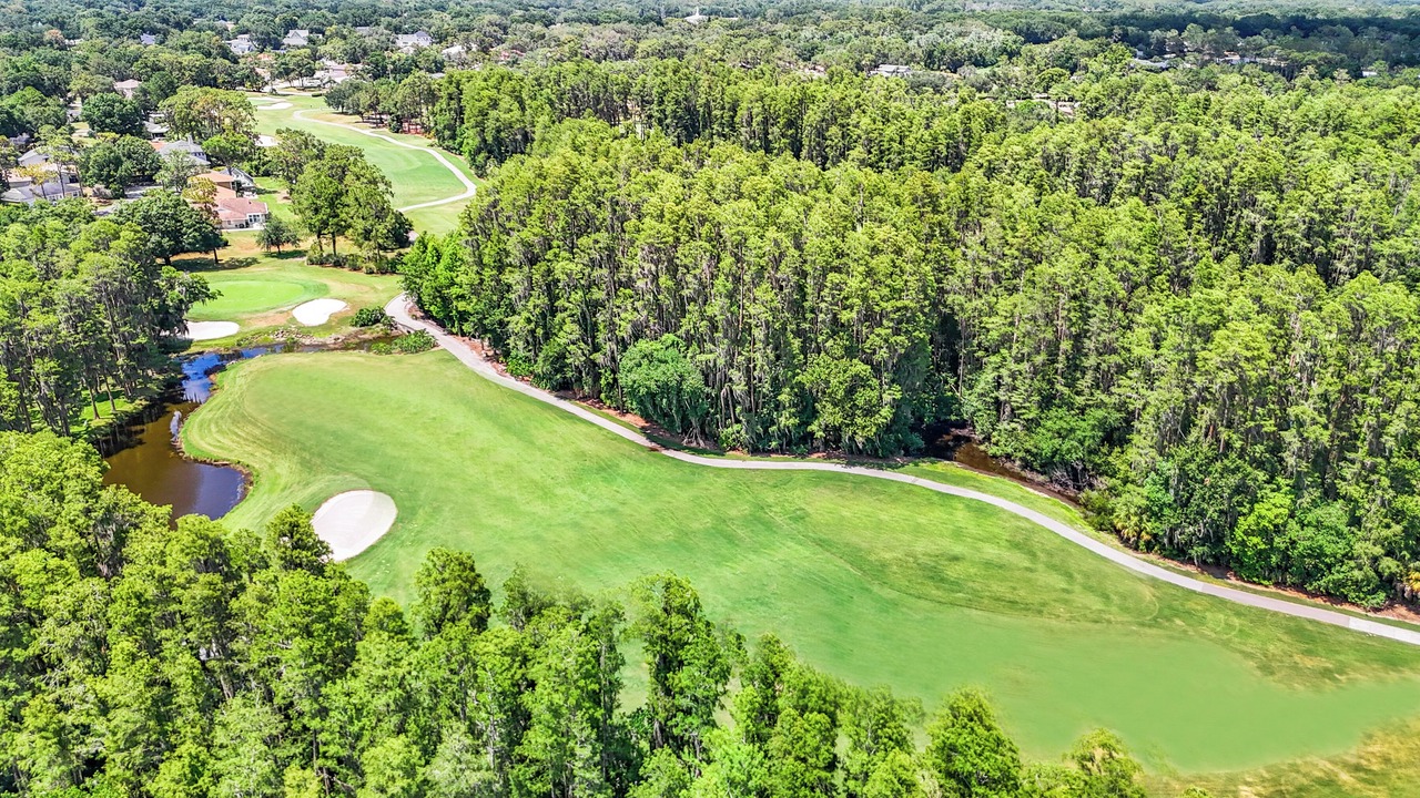 Photo of Outdoor in Saddlebrook