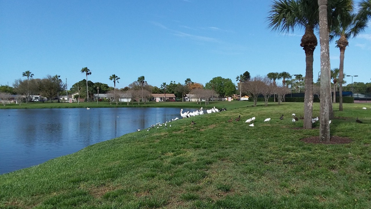 Photo of Outdoor in Coquina Key