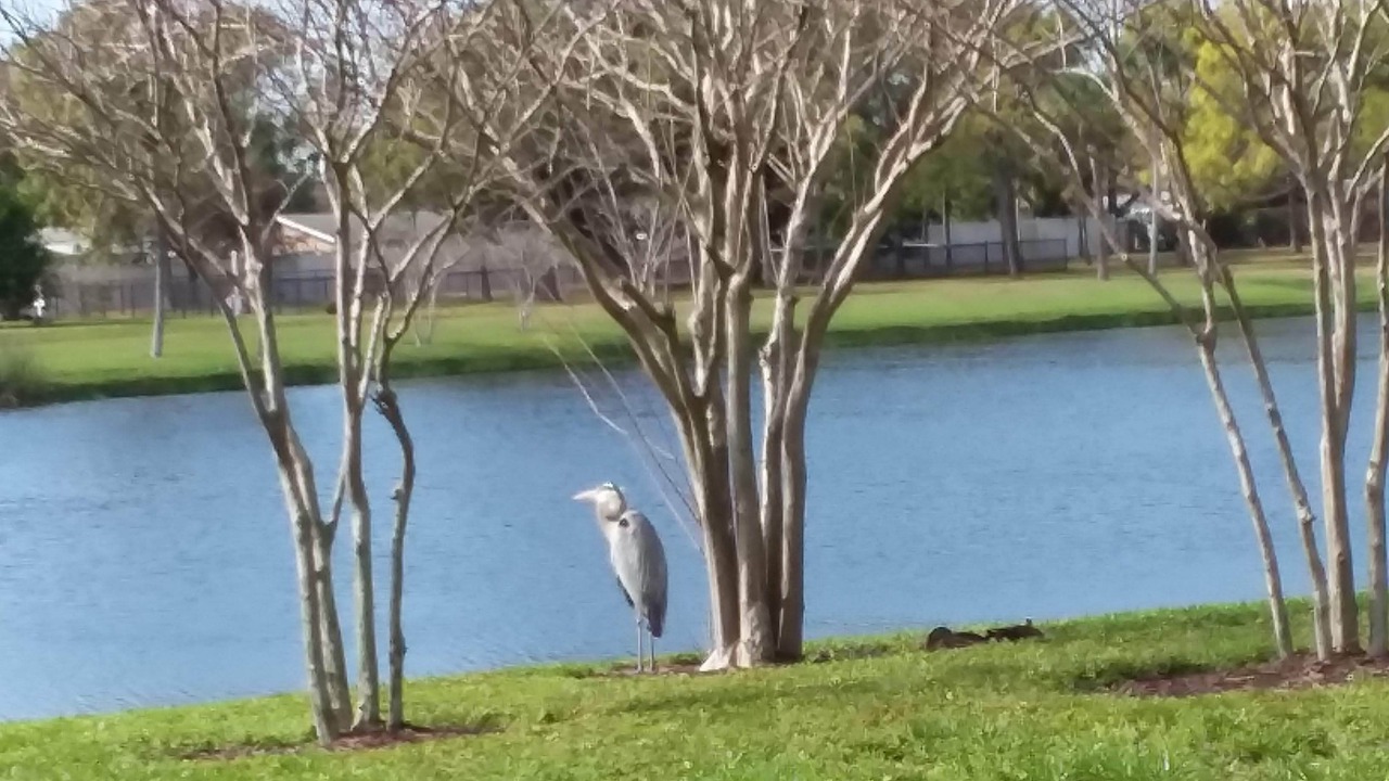 Photo of Outdoor in Coquina Key