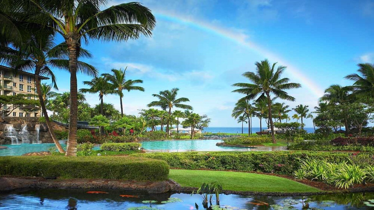 Photo of Others in Lahaina