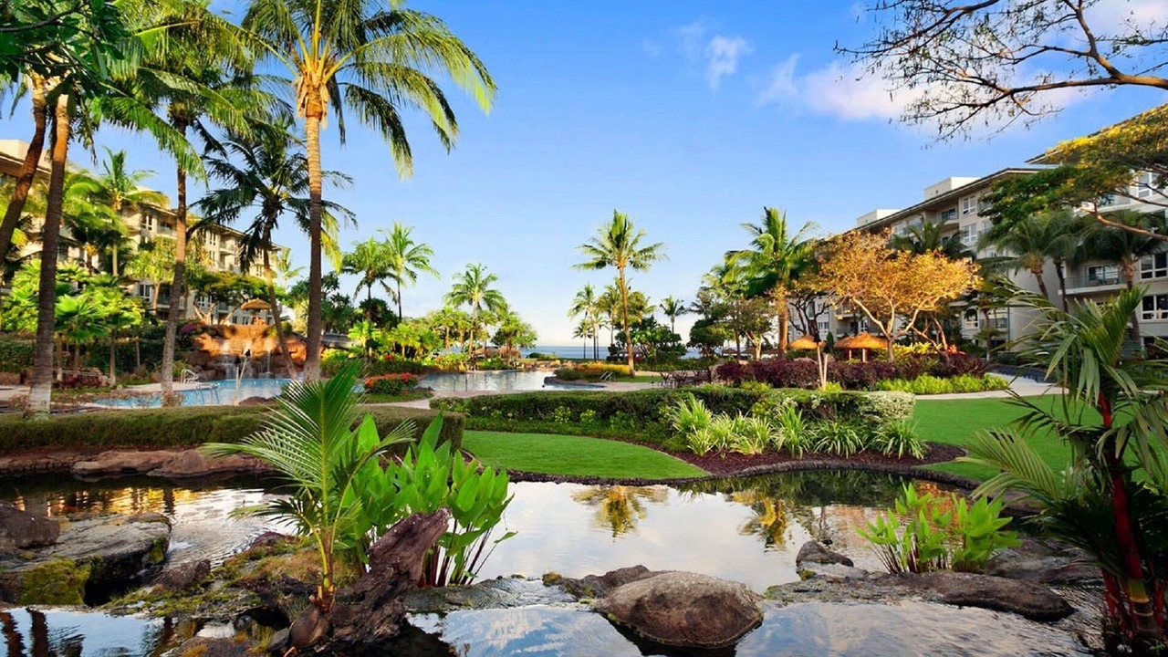Photo of Others in Lahaina