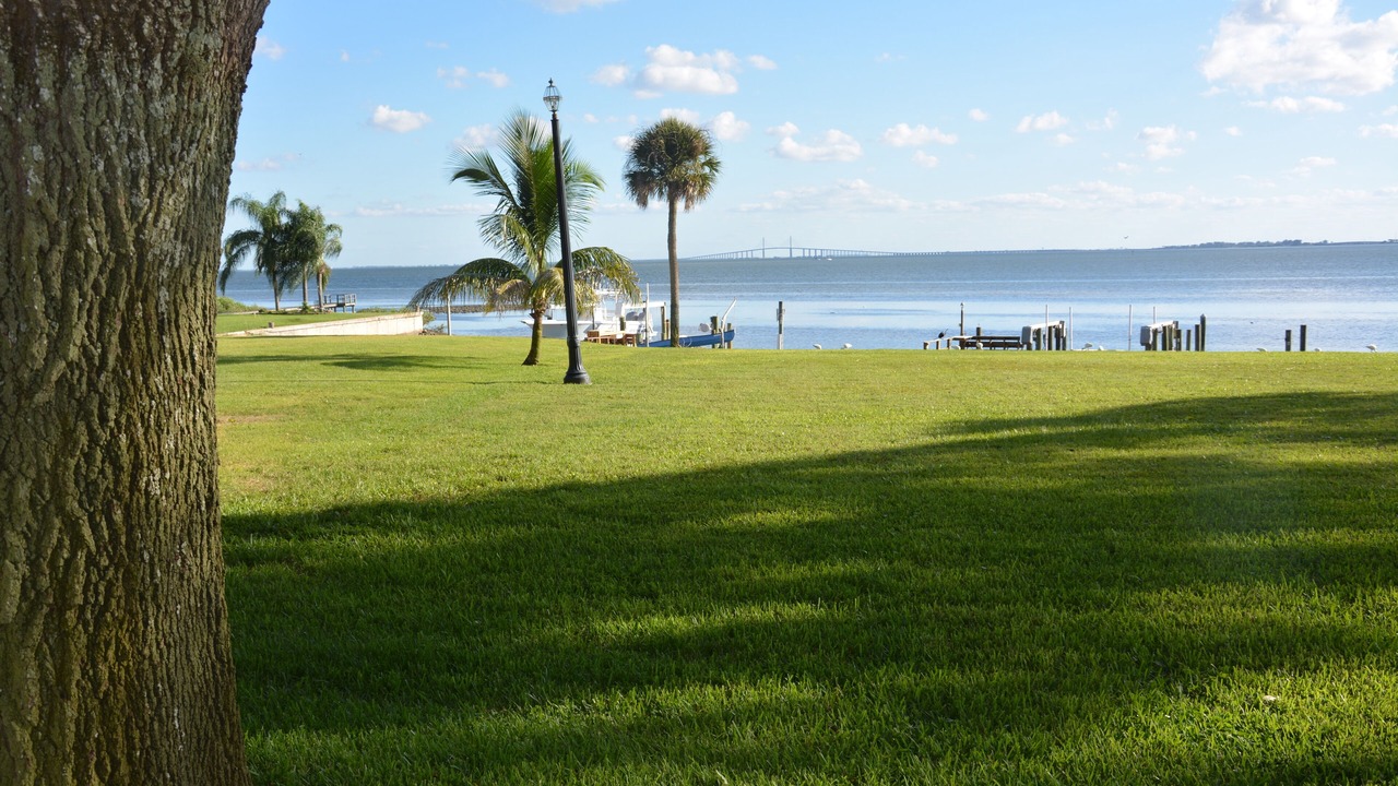 Photo of Others in Pinellas Point