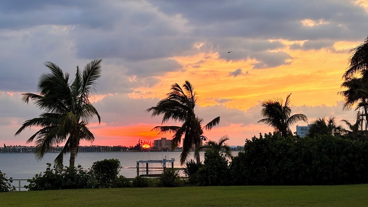 Photo of Others in Pinellas Point