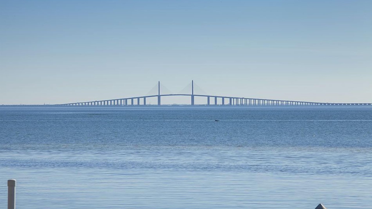Photo of Outdoor in Pinellas Point