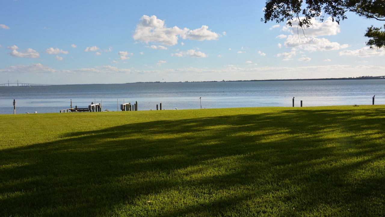 Photo of Outdoor in Pinellas Point