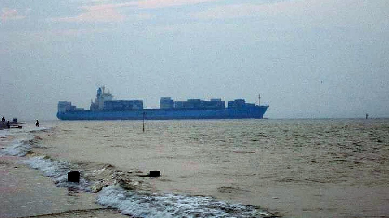 Photo of Others in Tybee Island