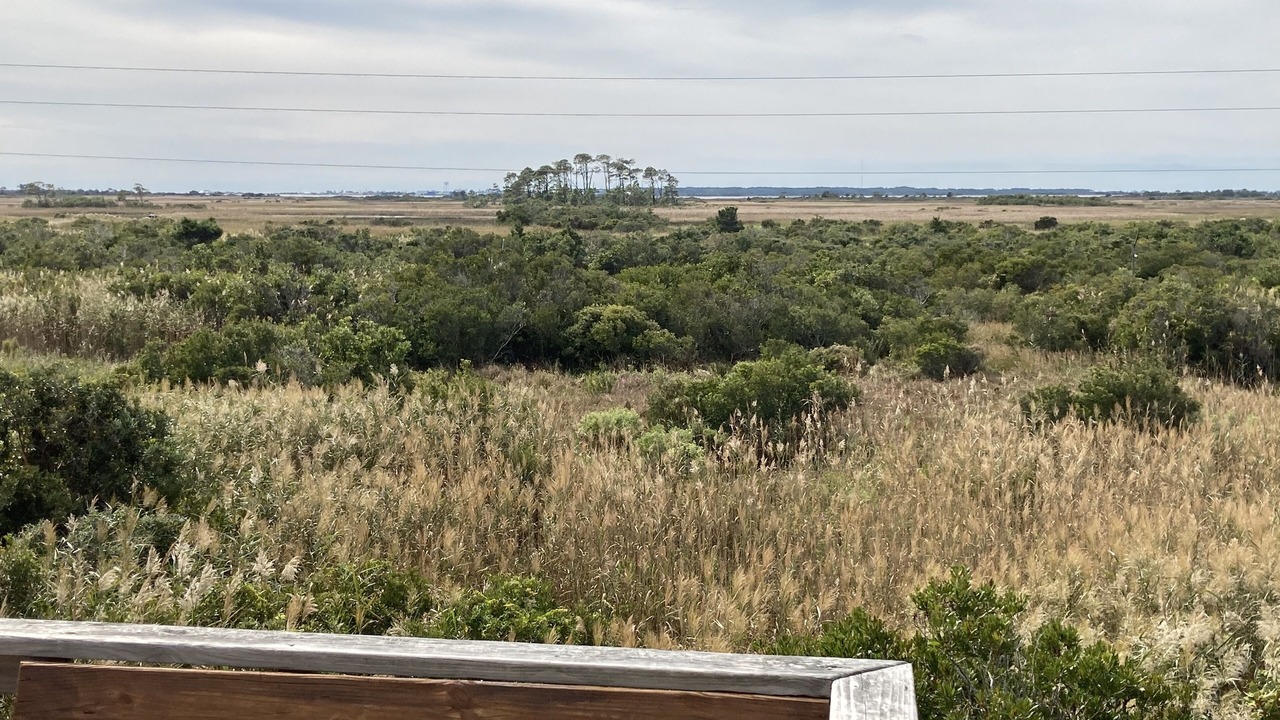 Photo of Patio Balcony in South Nags Head