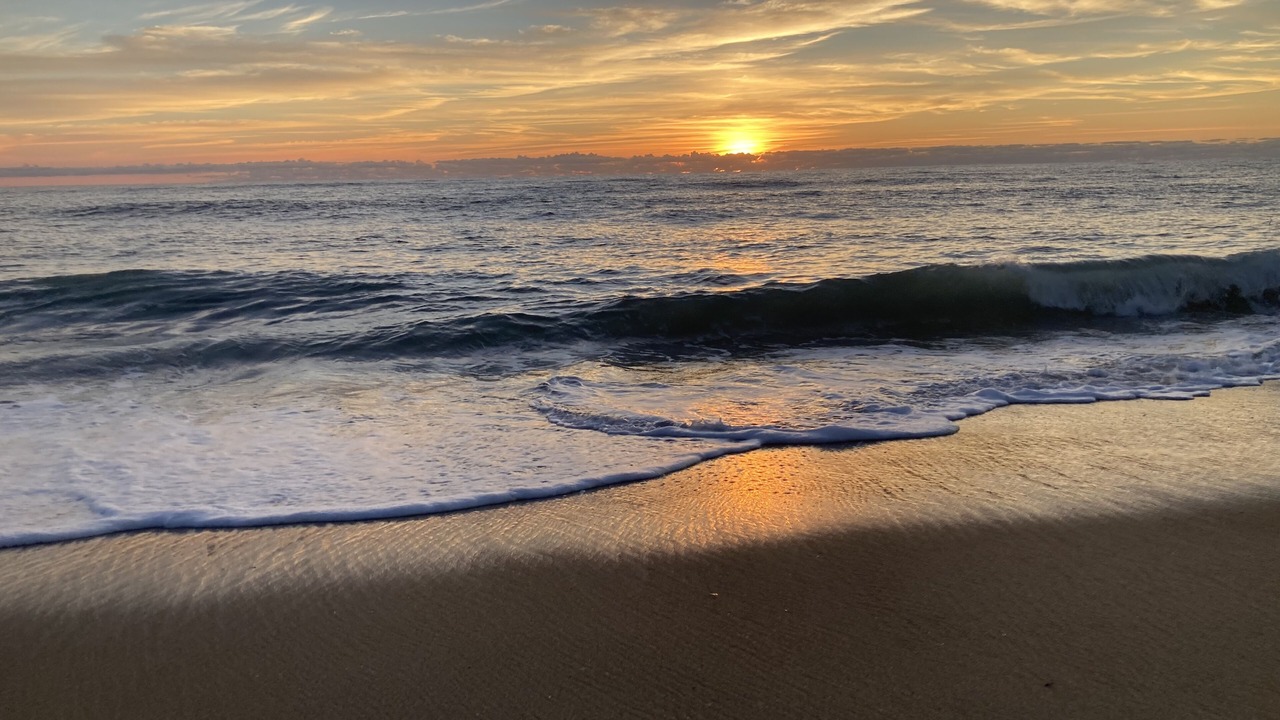Photo of Others in South Nags Head