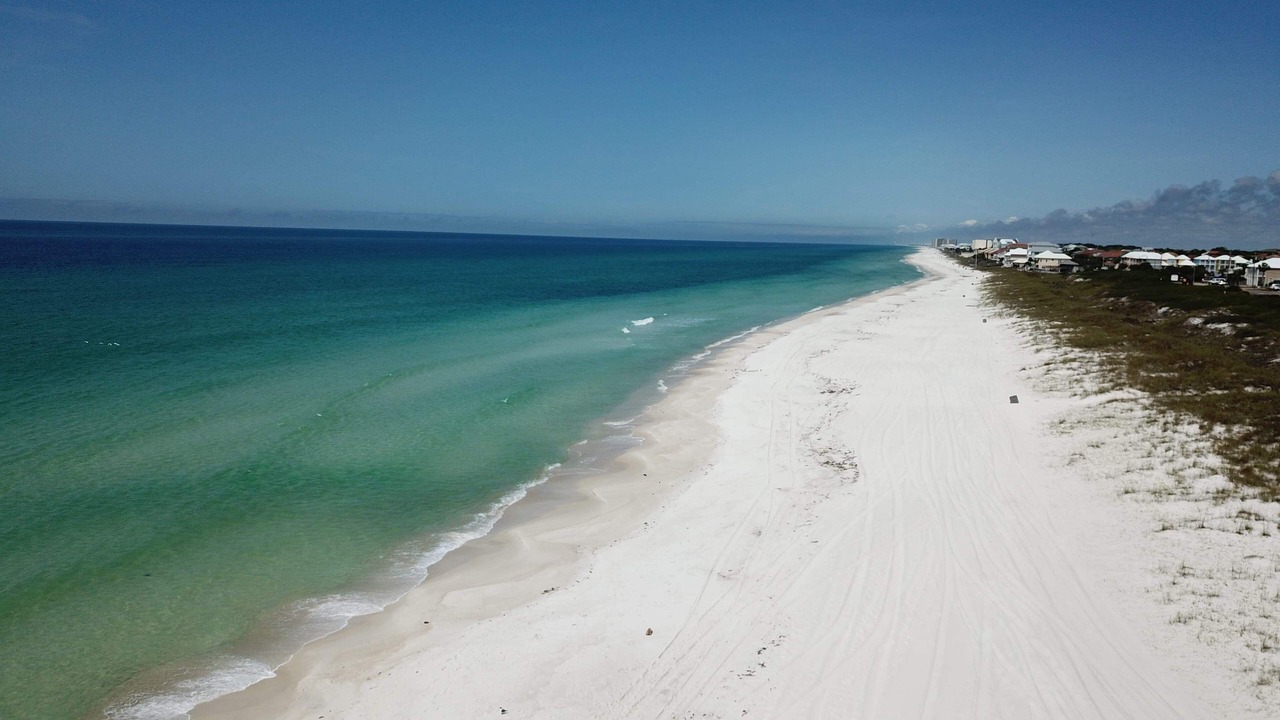 Photo of Others in Gulf Vista