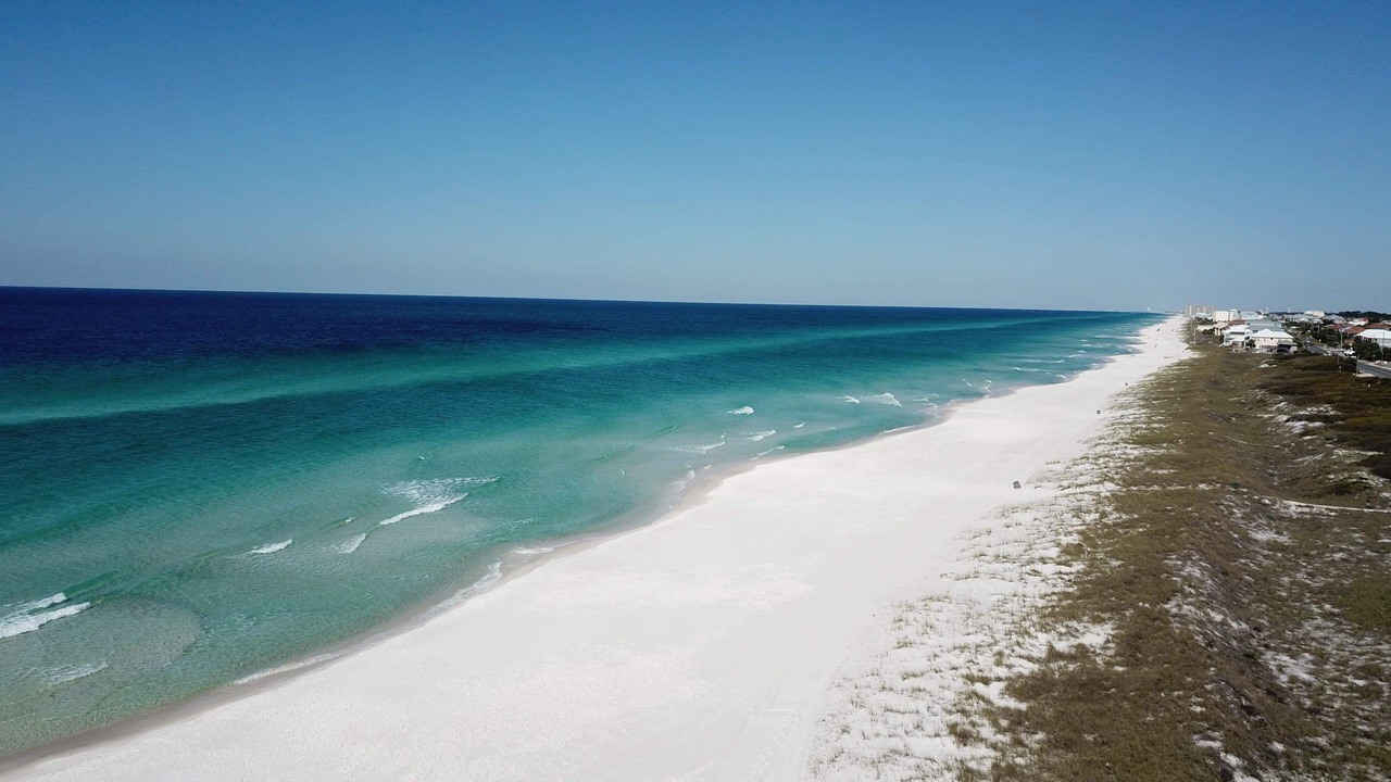 Photo of Others in Gulf Vista