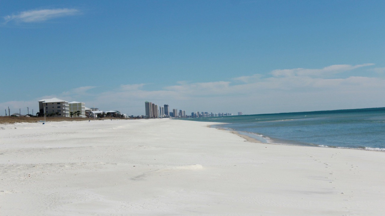 Photo of Others in Gulf Vista