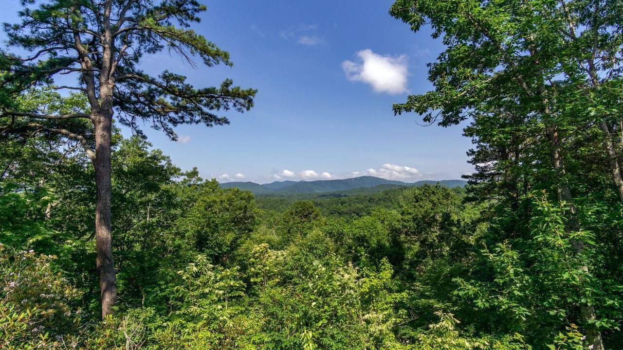 Photo of Outdoor in Fairview