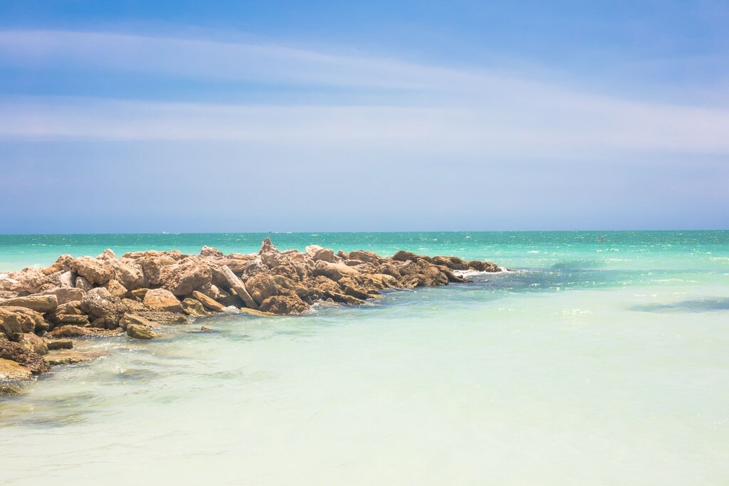 Photo of Outdoor in Sarasota