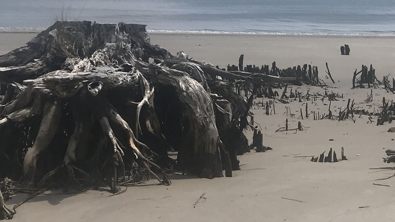 Photo of Others in Daufuskie Island