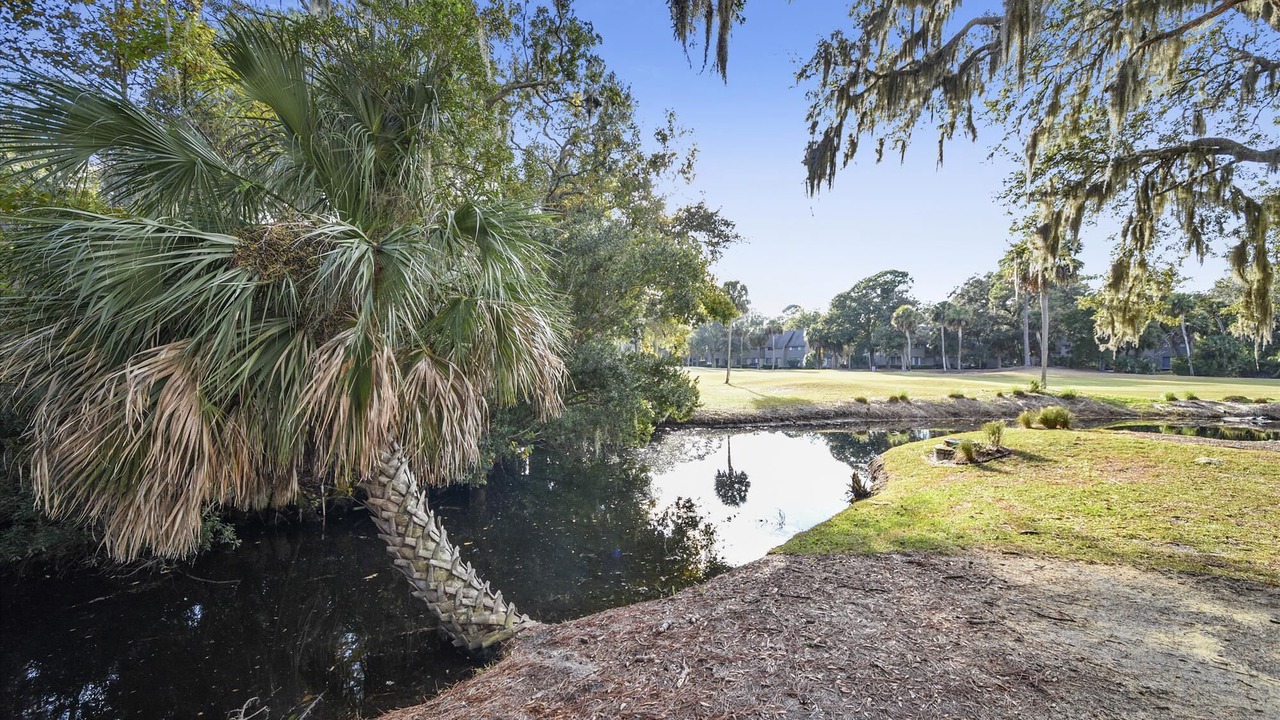 Photo of Outdoor in Shipyard Plantation