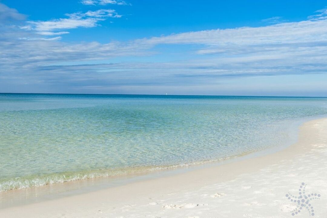Photo of Others in West Panama City Beach
