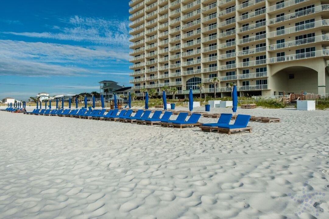 Photo of Others in West Panama City Beach