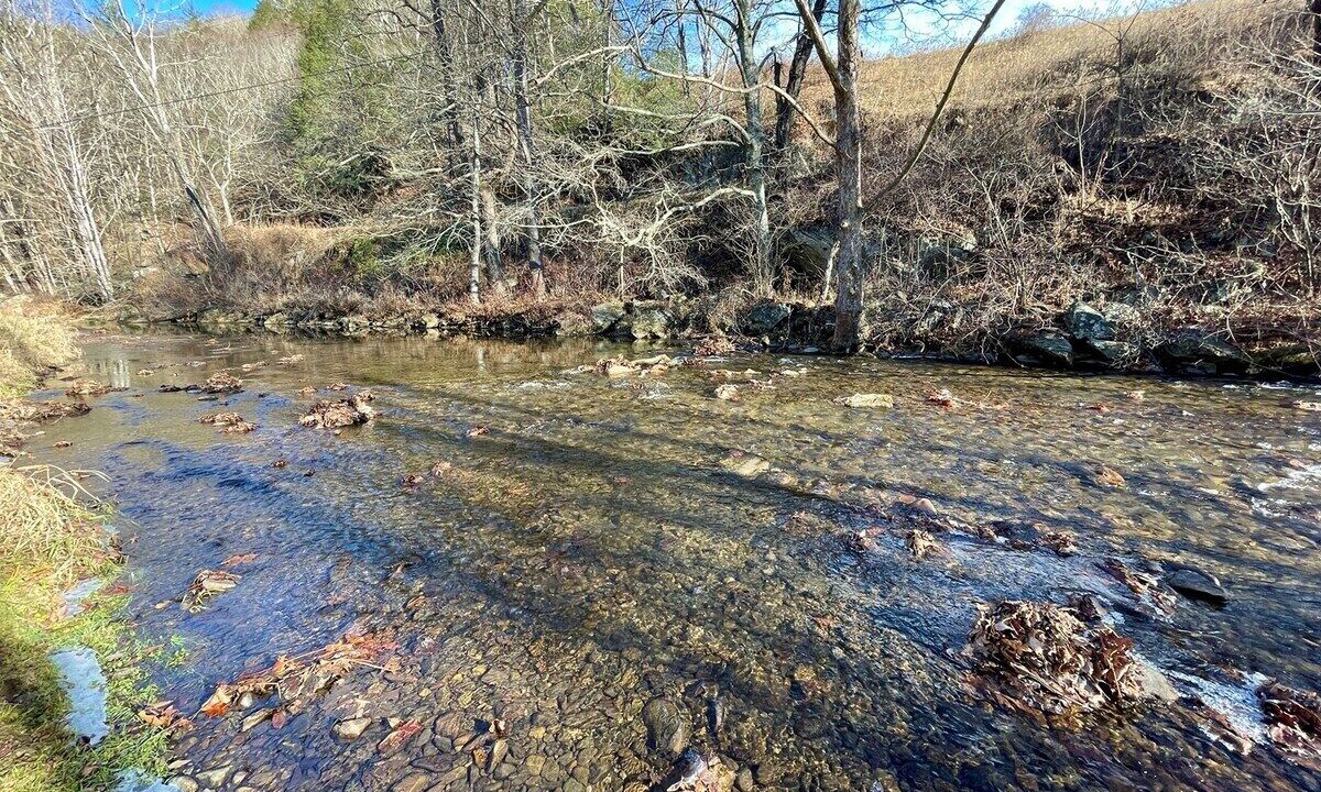 Photo of Others in Grassy Creek