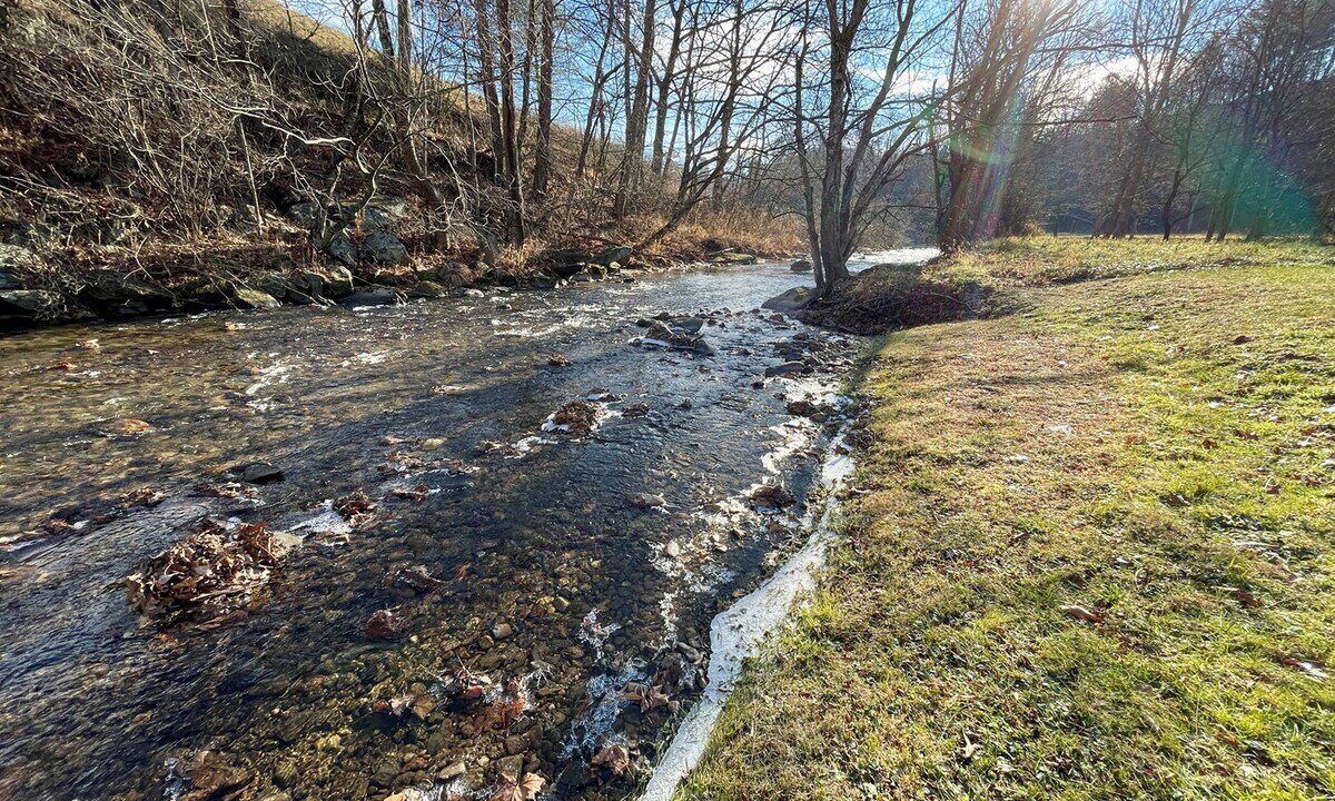 Photo of Others in Grassy Creek