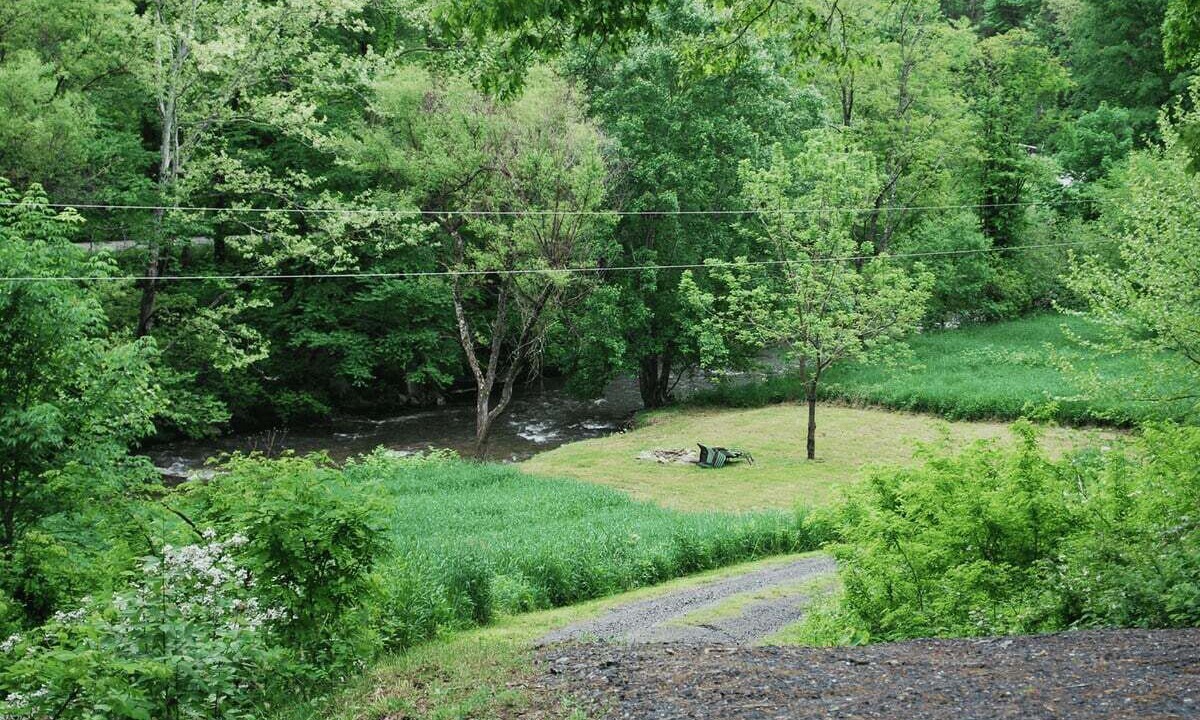 Photo of Others in Grassy Creek