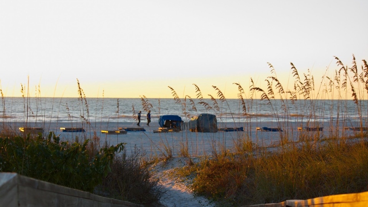 Photo of Others in St. Pete Beach