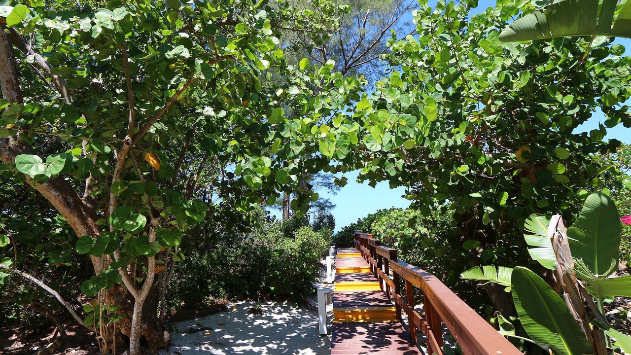 Photo of Others in Captiva
