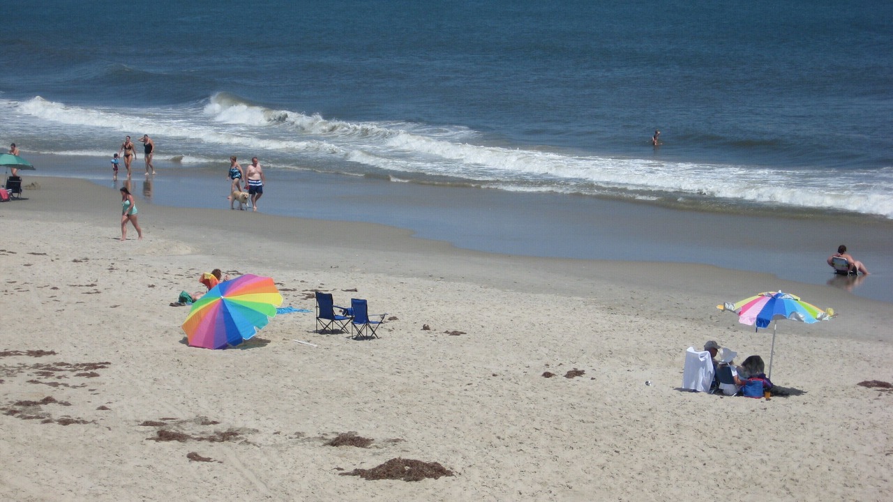 Photo of Others in Ocean Sands