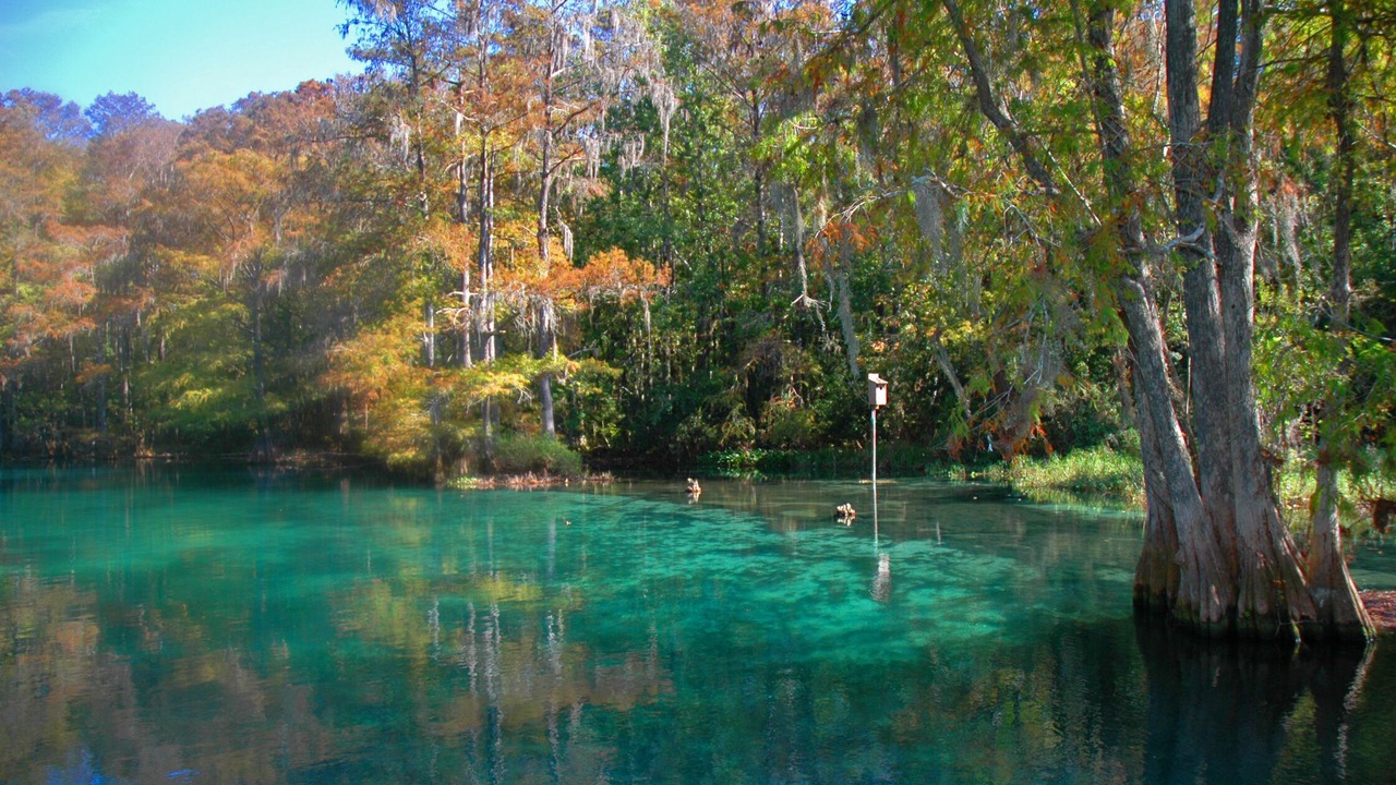 Photo of Outdoor in Dunnellon
