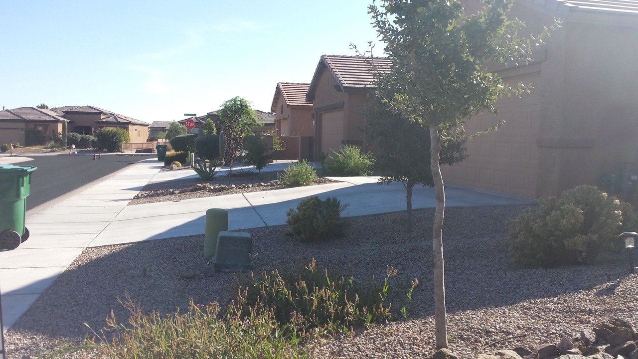 Photo of Others in Las Campanas