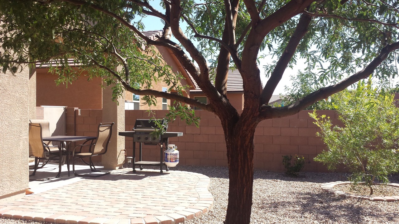 Photo of Others in Las Campanas