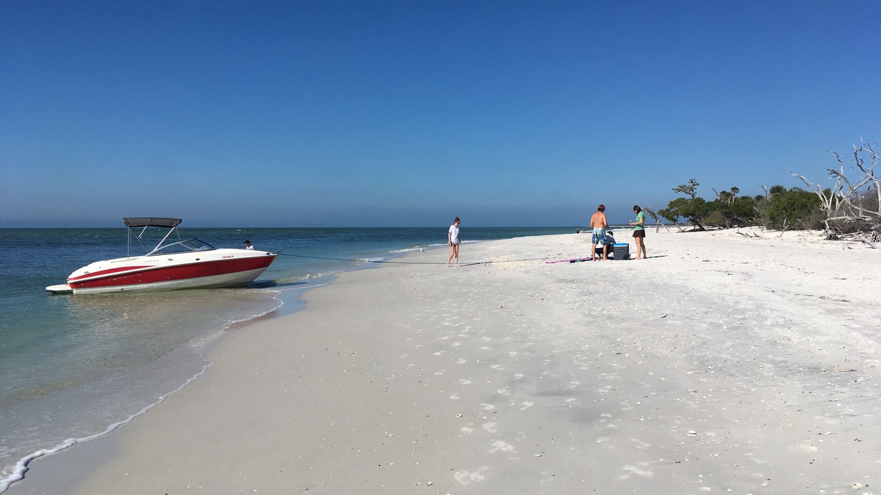 Photo of Others in Cape Harbour